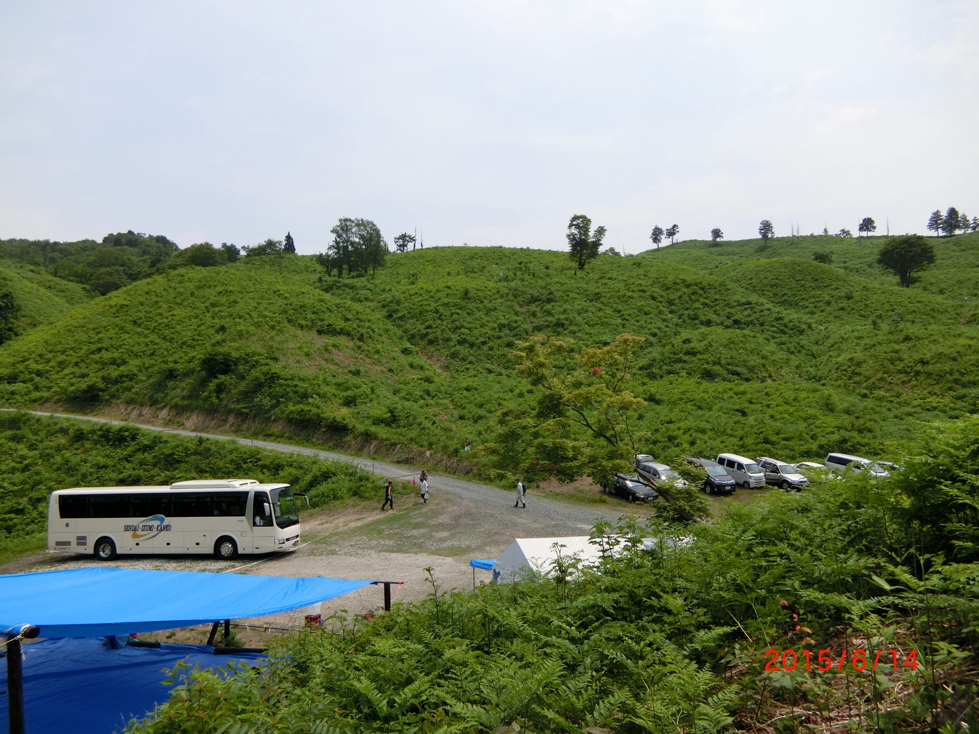 各わらび園の風景