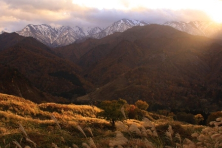 樽口峠の風景