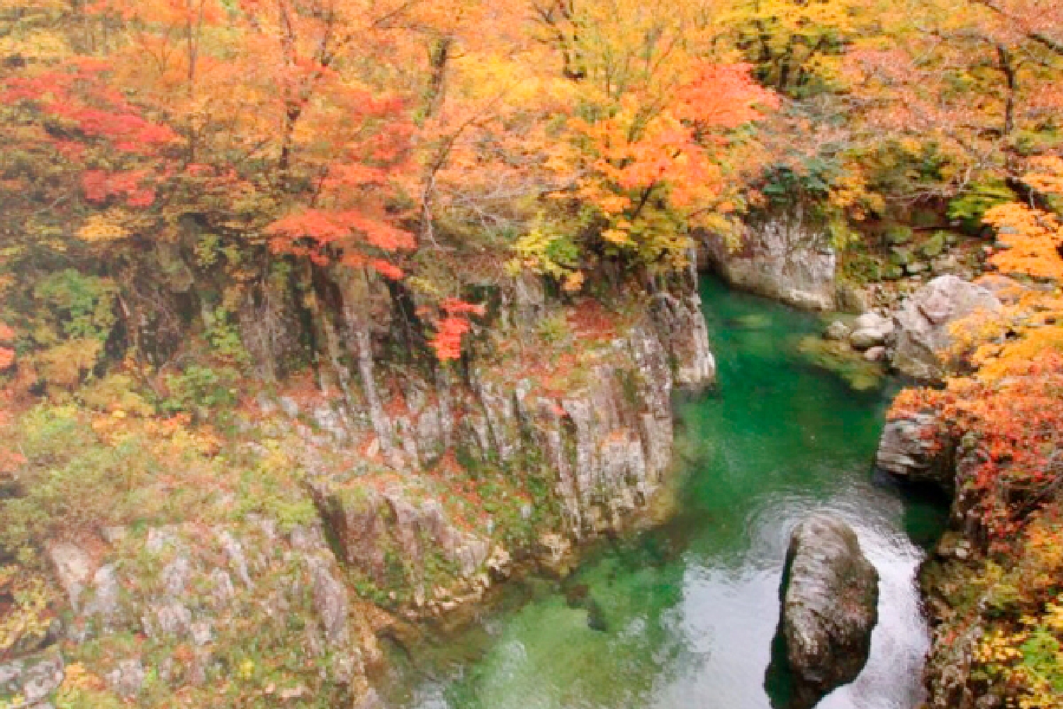 そばと紅葉を愛でる大人旅