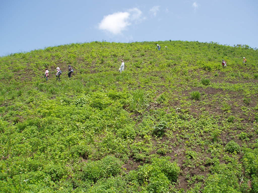 各わらび園の風景