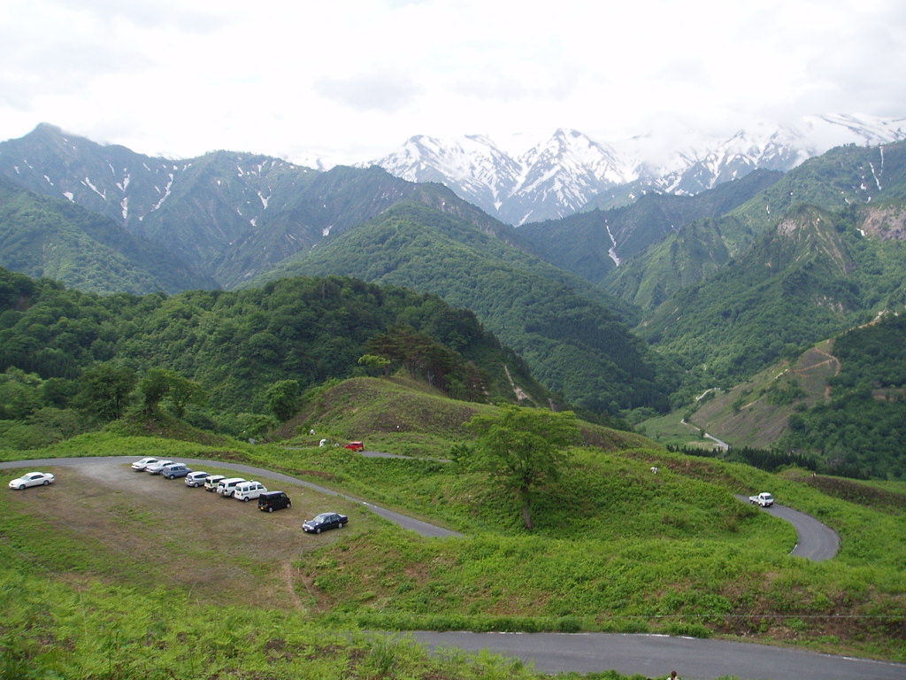 各わらび園の風景