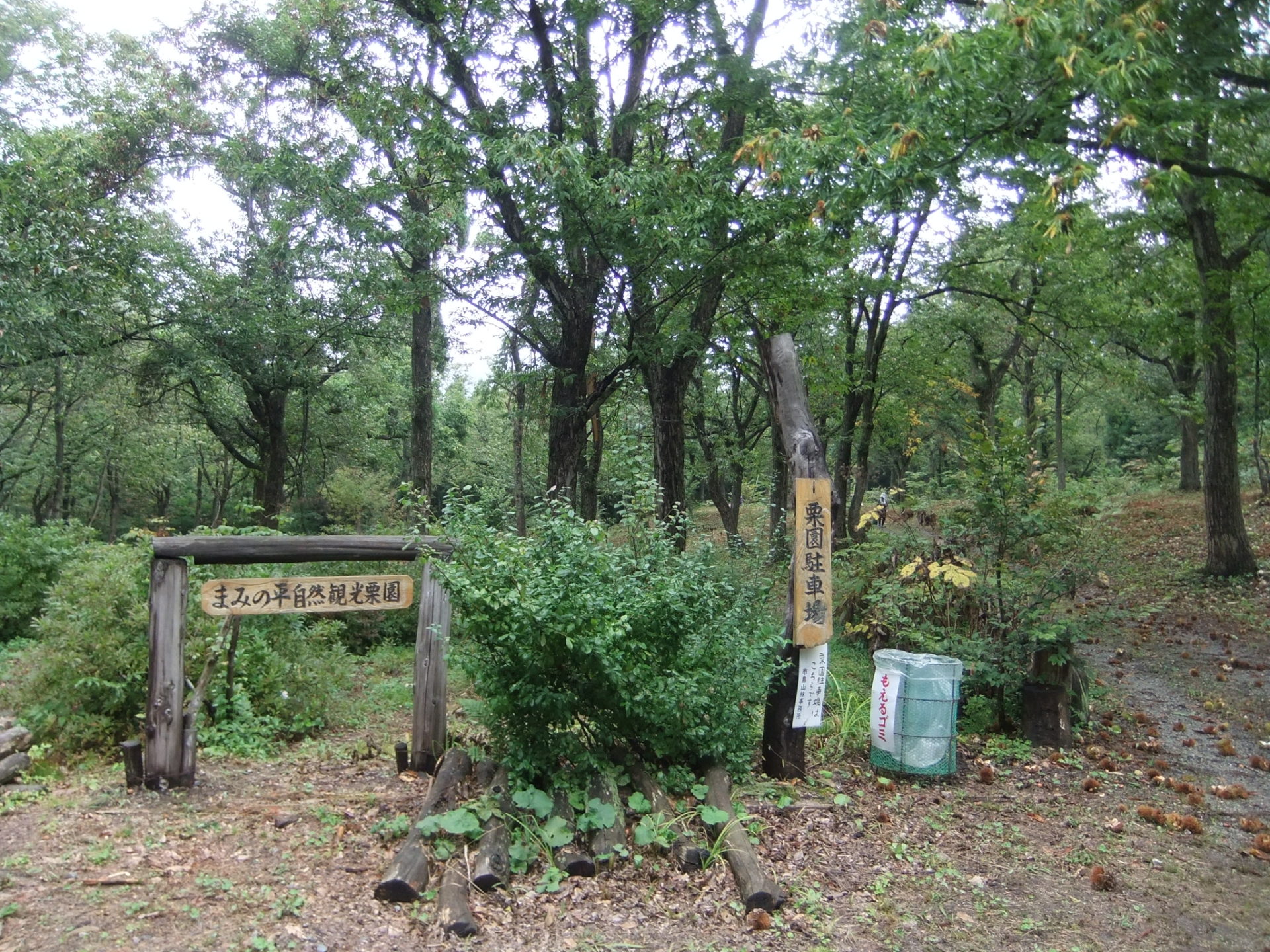 まみの平自然観光栗園の風景