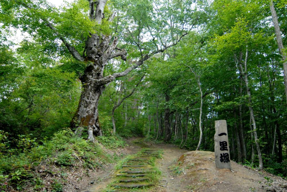 黒沢峠敷石道保存会