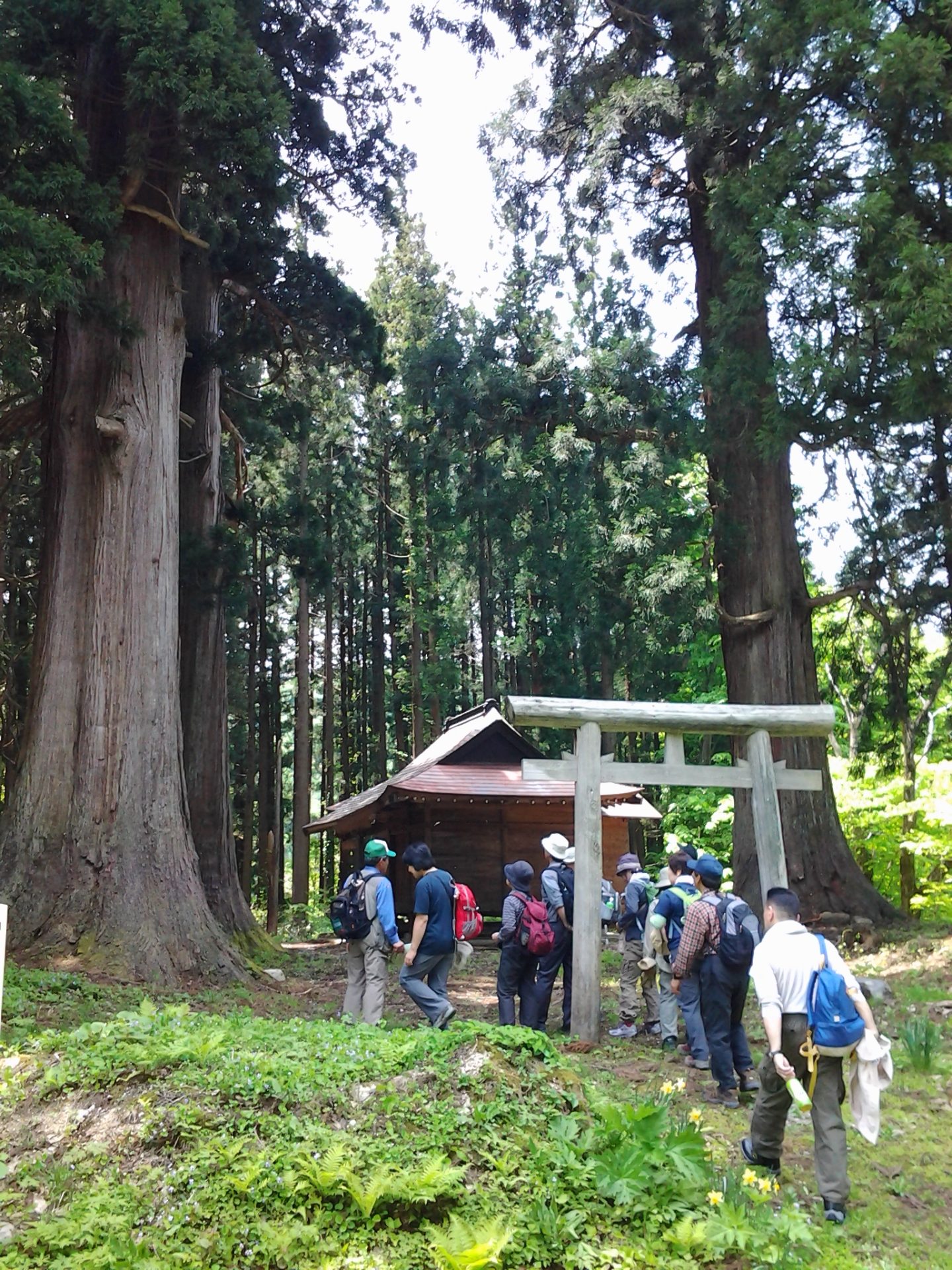 十二山神神社の風景