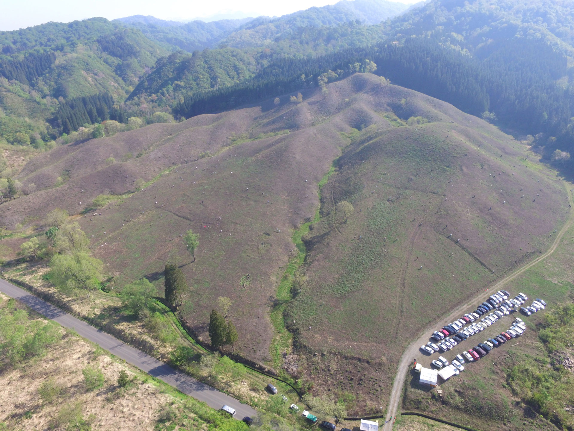 各わらび園の風景