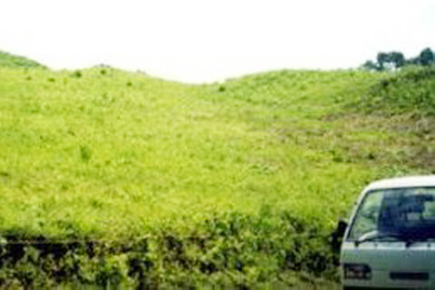 各わらび園の風景