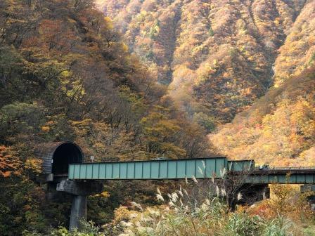 赤芝峡の紅葉です 白い森おぐに通信 山形県小国町観光ガイド Ogumogu おぐもぐ