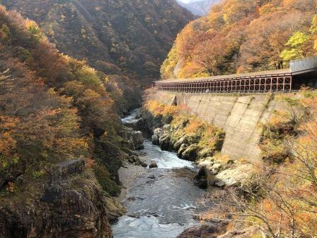 赤芝峡の紅葉です！