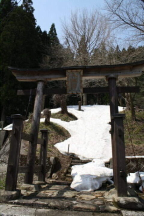 八幡神社の様子を見て来ました！