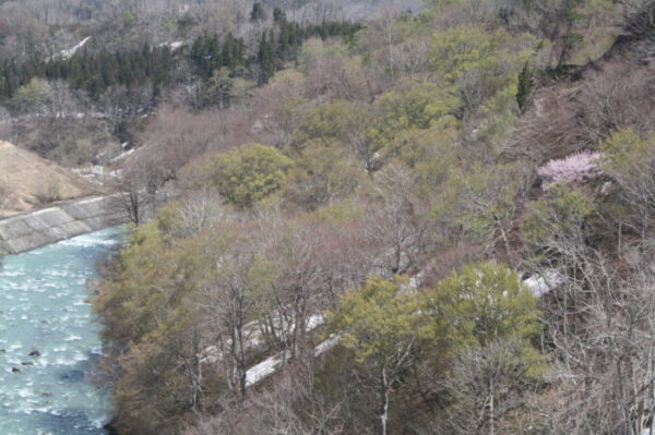 東部地区に行ってきました！