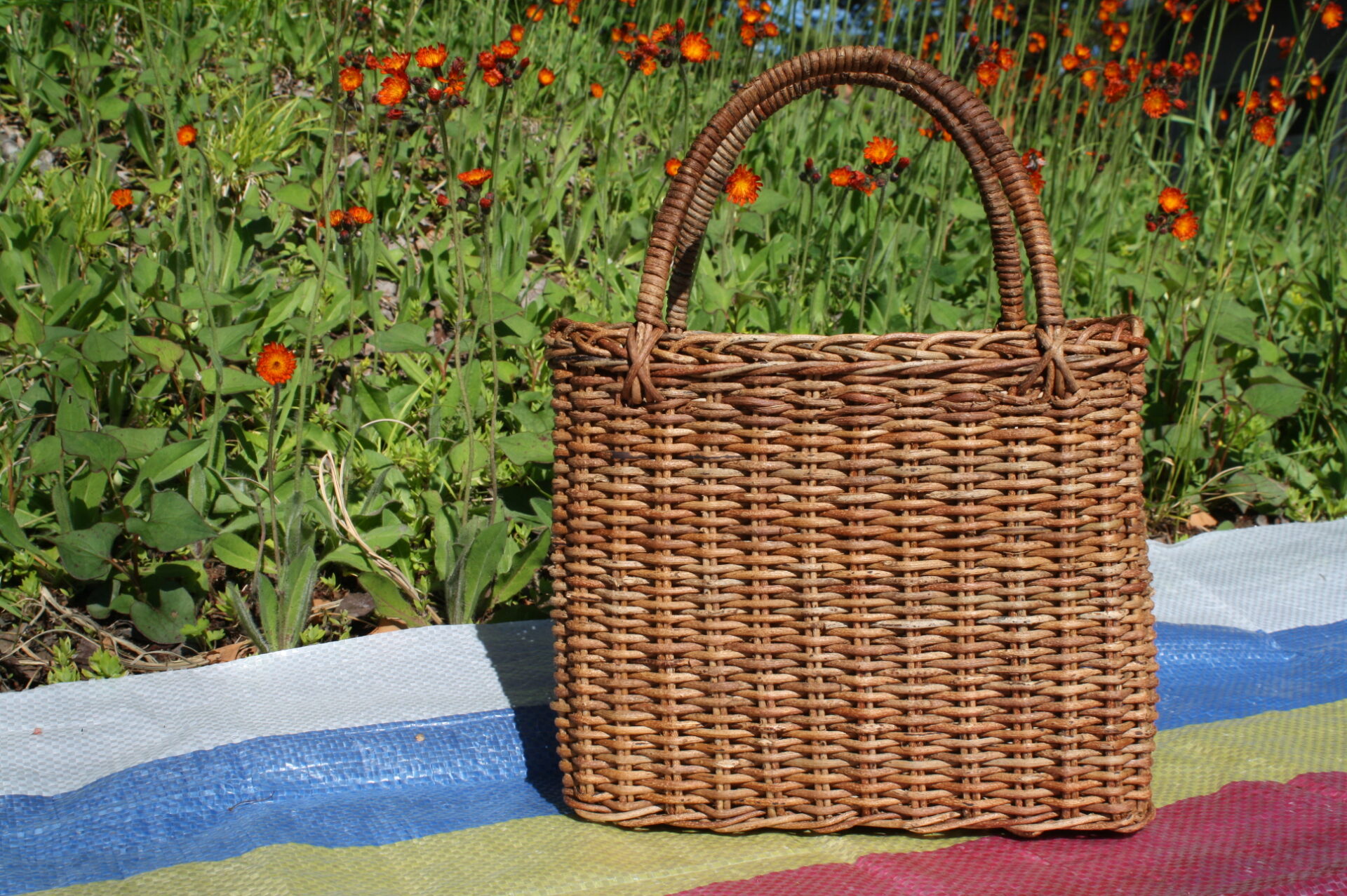 自作のかごを持ってピクニックに、出かけませんか？
