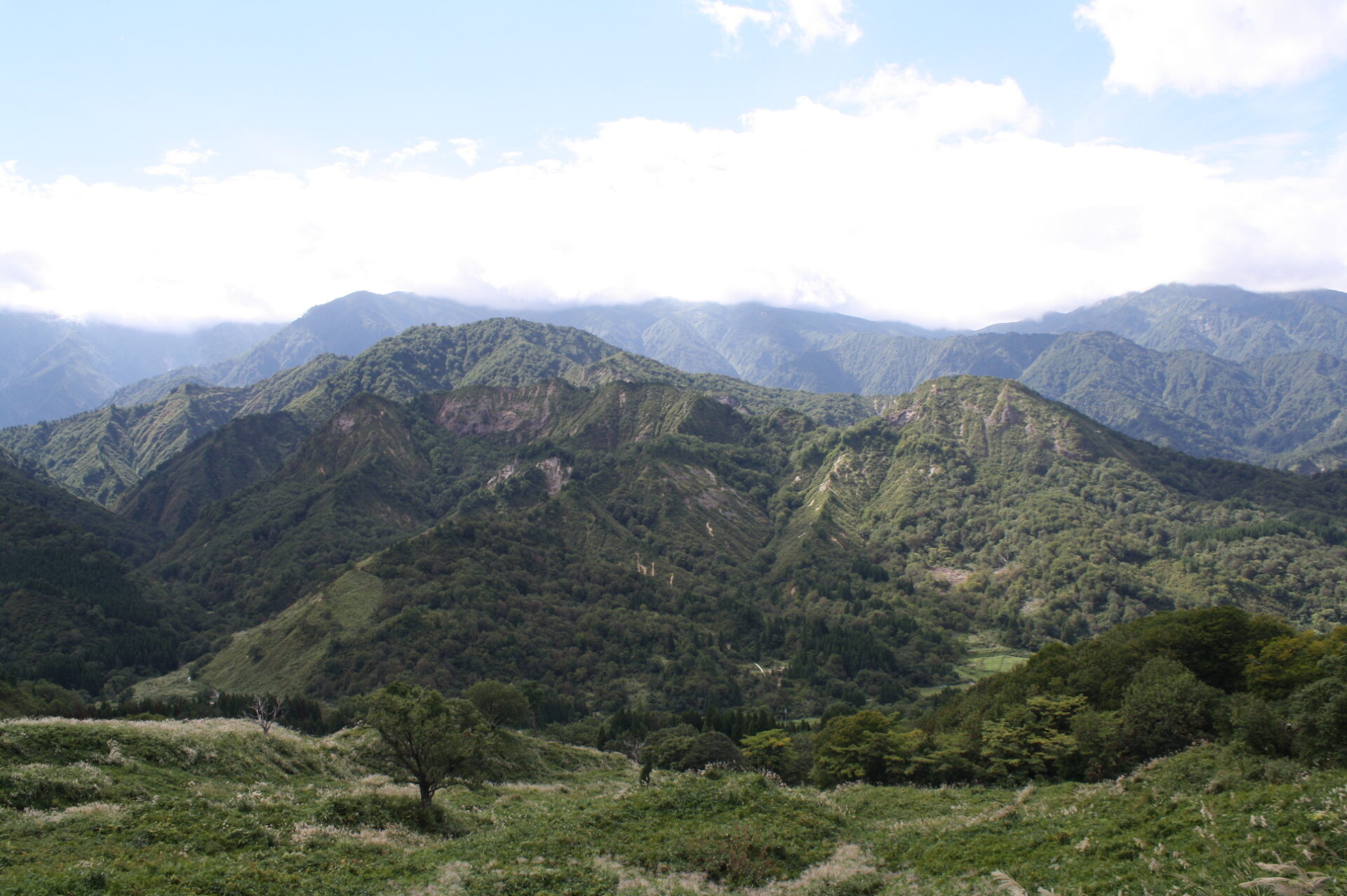 林道樽口峠線（小玉川～山頂間）の通行止めについて