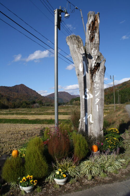 「北部地区」紅葉情報10/31