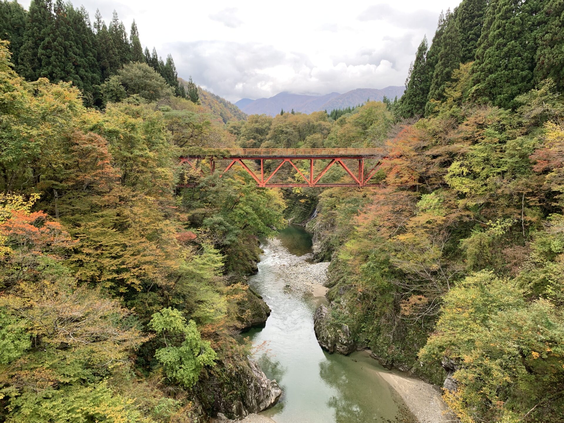 「新田橋・玉川橋周辺」紅葉情報(10/30)