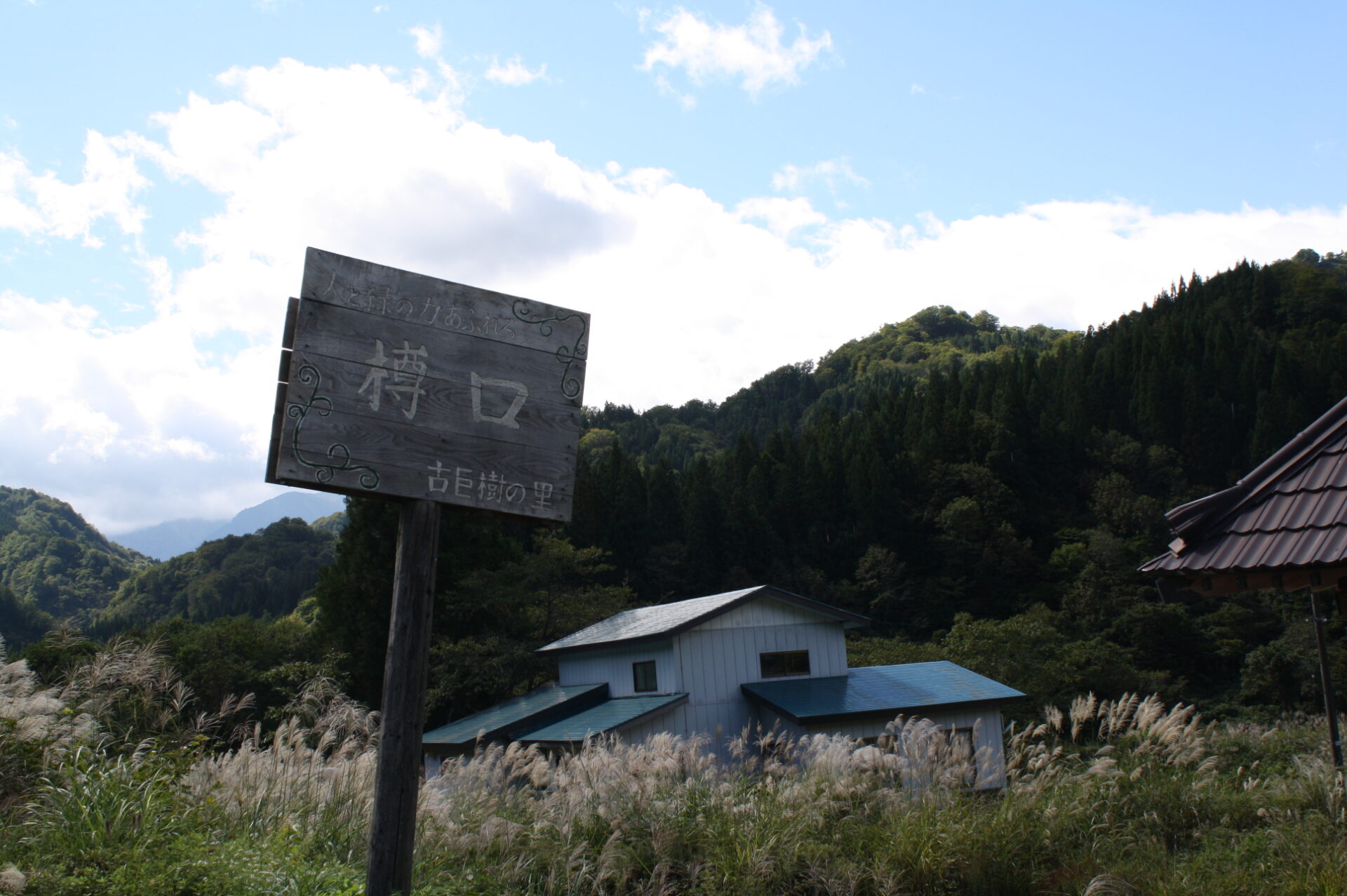 南部地区　紅葉情報（9/29）