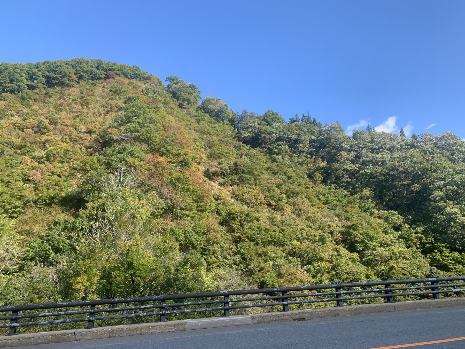 「東部地区」紅葉情報(10/17)