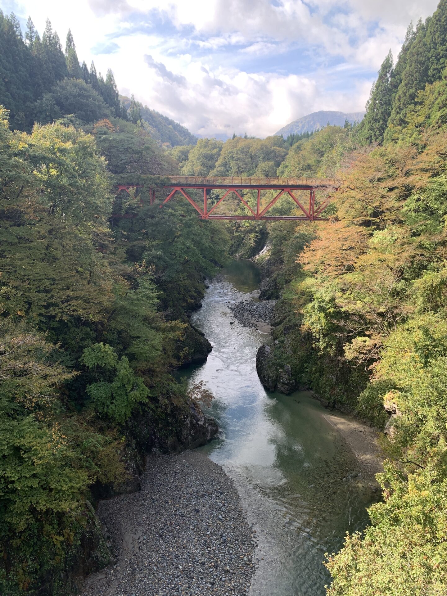 「新田橋・玉川渓流」紅葉情報(10/23)