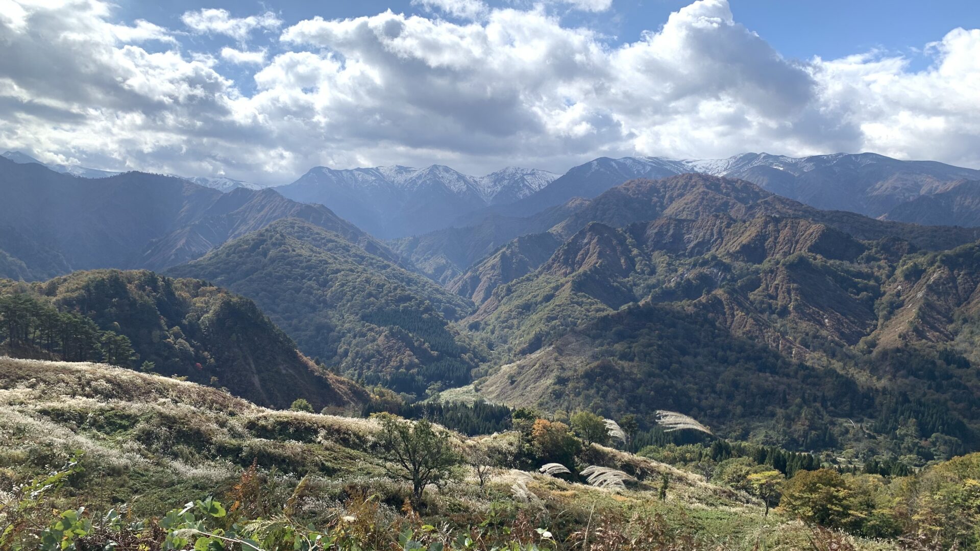 「南部地区」紅葉情報（10/26）