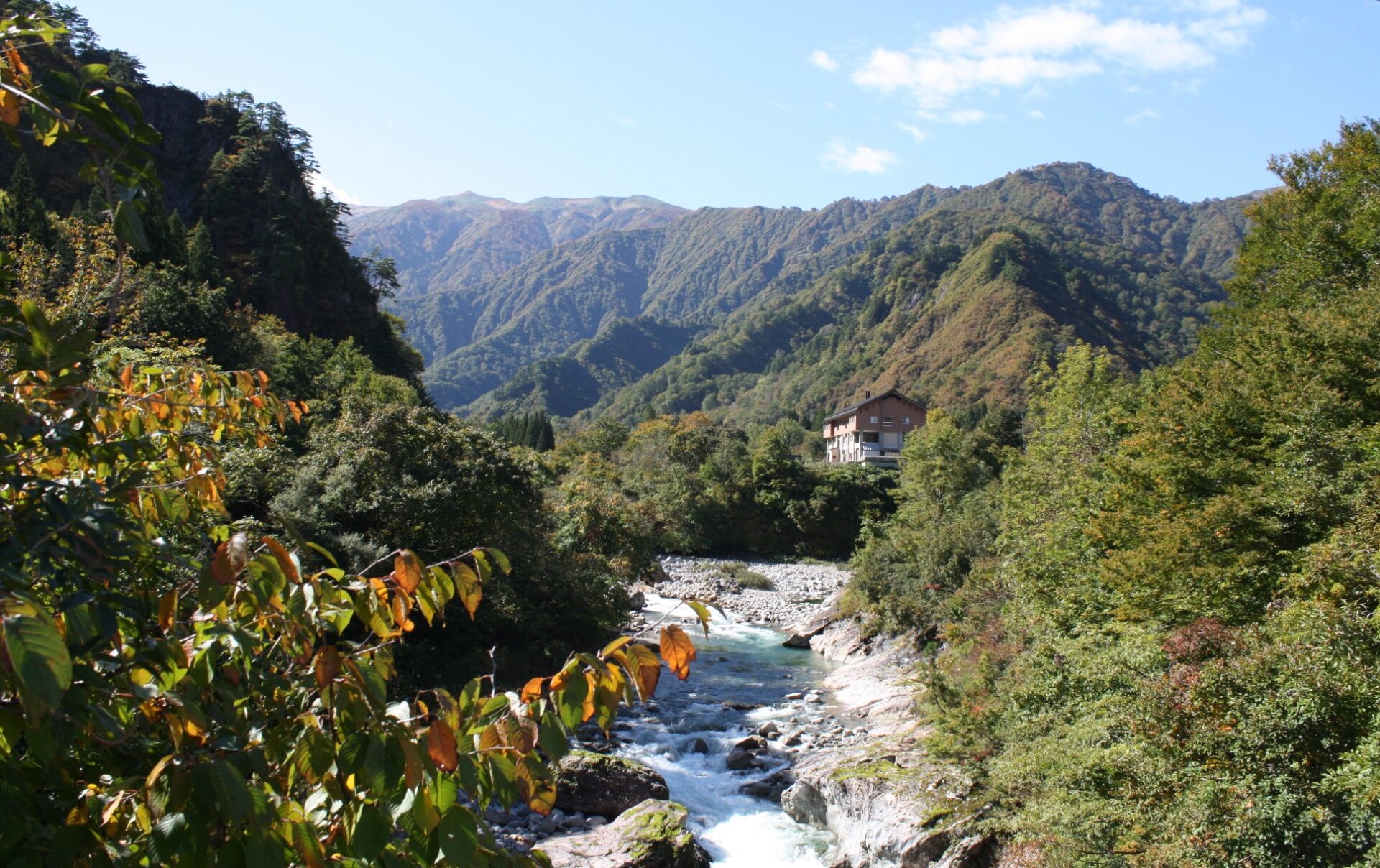 南部地区「紅葉情報」10/17