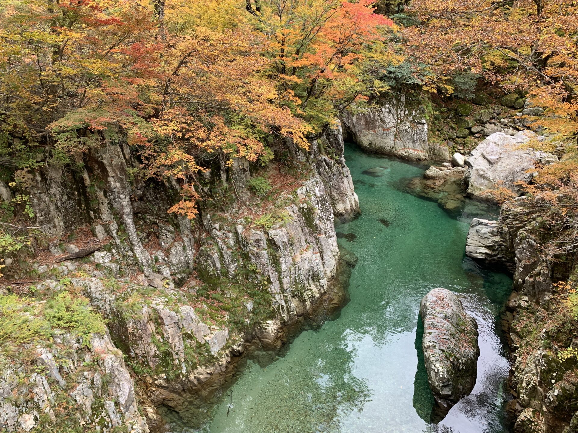 「天狗橋・温身平・梅花皮荘周辺」紅葉情報(10/30)