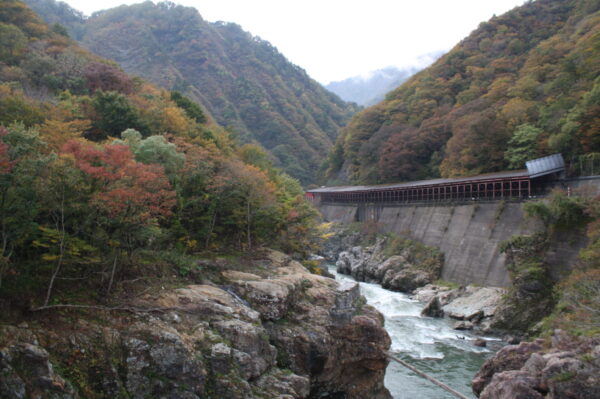 「赤芝峡」紅葉情報（10/27）