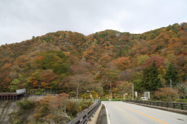 「赤芝峡」の紅葉情報(11/2)