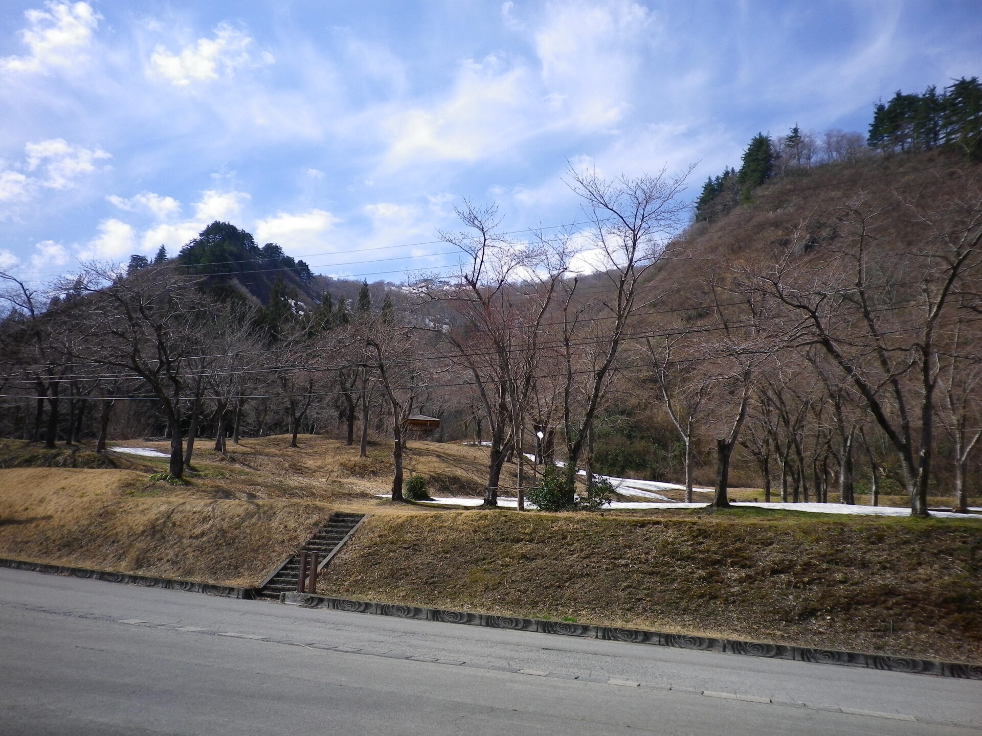 🌸桜公園（梅花皮荘前）情報 4/12