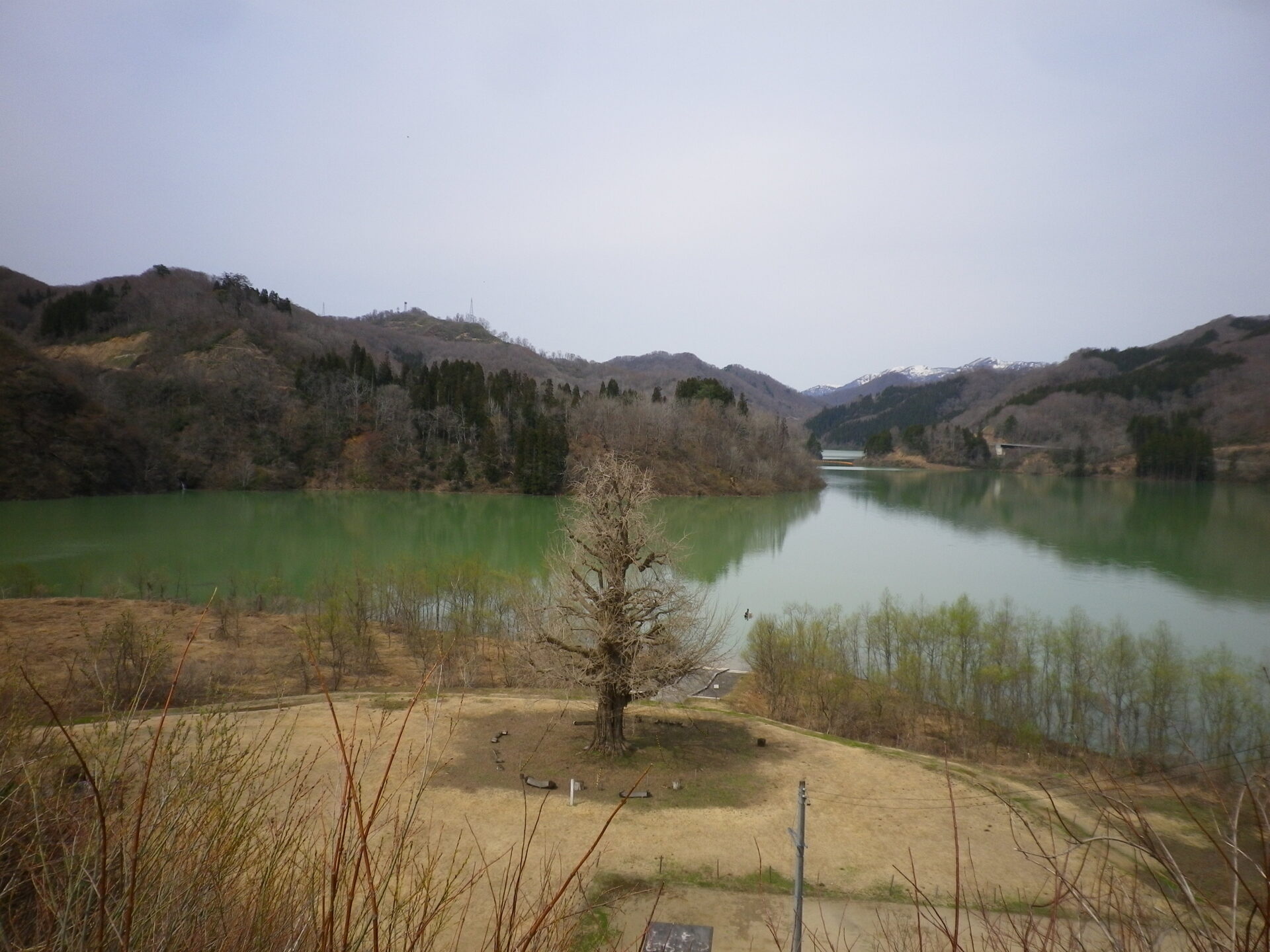 ～春を探しに 「東部地区」方面～4/11　