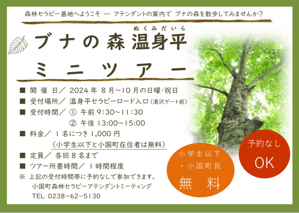 ブナの森　温身平森林セラピー®基地「ミニツアー」８/4(日)スタート！