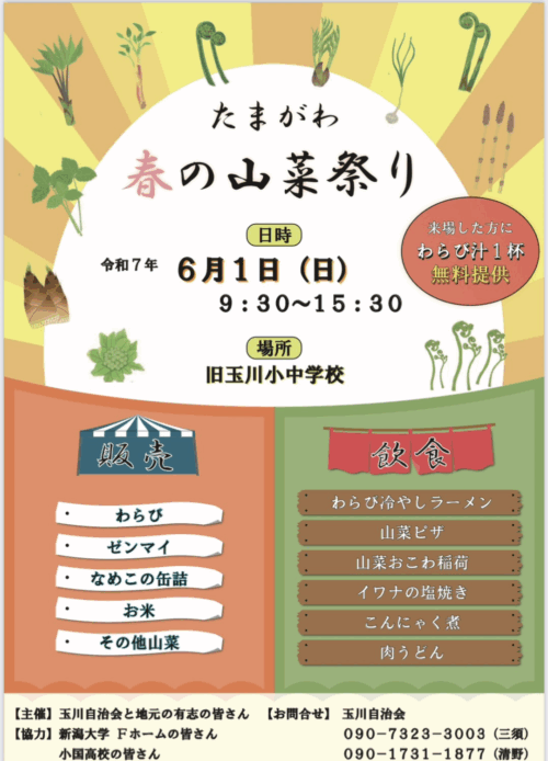 玉川 「春の山菜まつり」のお知らせ（6/1）