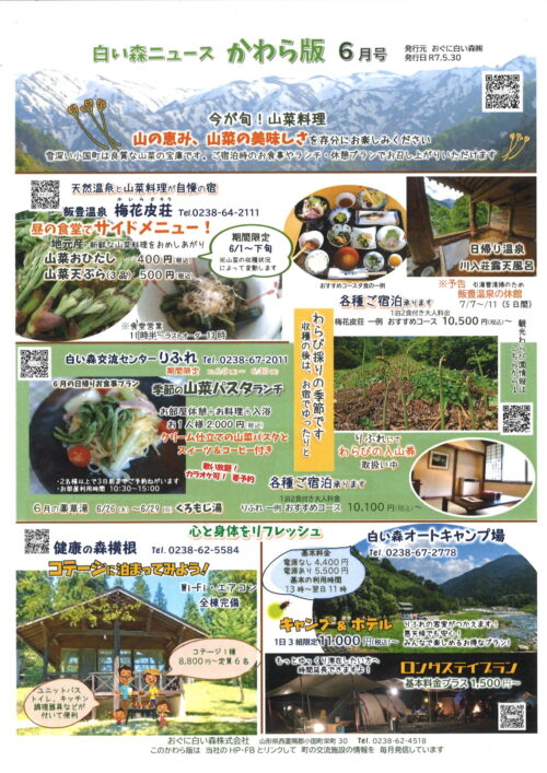 白い森かわら版 6月号