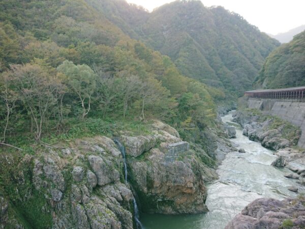小国町紅葉情報「赤芝峡」10/23