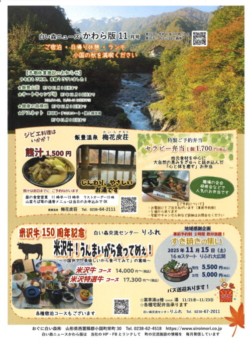 白い森ニュースかわら版 １１月号