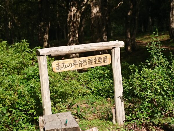 「まみの平自然栗園」（10/2）