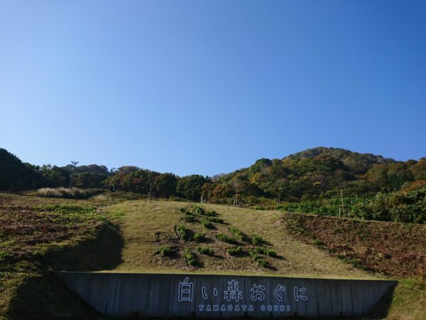 小国町紅葉情報「道の駅おぐに～新田橋～樽口～小玉川」10/30