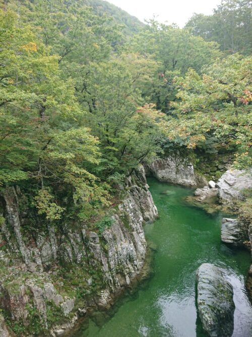 小国町紅葉情報「天狗橋」10/19