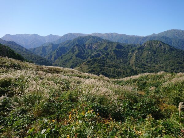 小国町紅葉情報「樽口峠～小玉川～新田橋」10/15