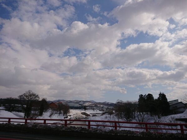 やっと、雪が落ち着きました（2/5）