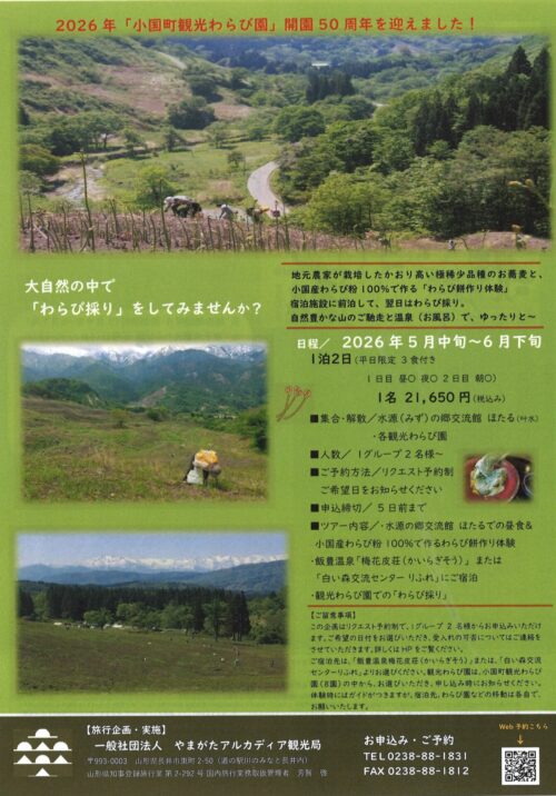 わらび採りツアーのお知らせ