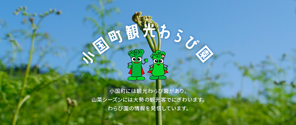 【小国町観光わらび園】最新情報