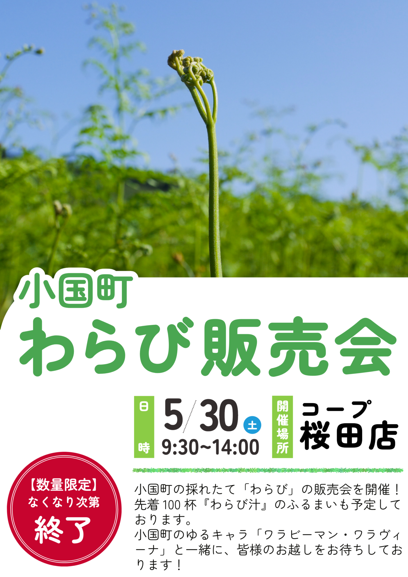 【本日開催！】コープ桜田店『小国町わらび販売会』