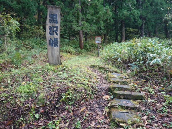 紅葉情報「黒沢峠」10/29