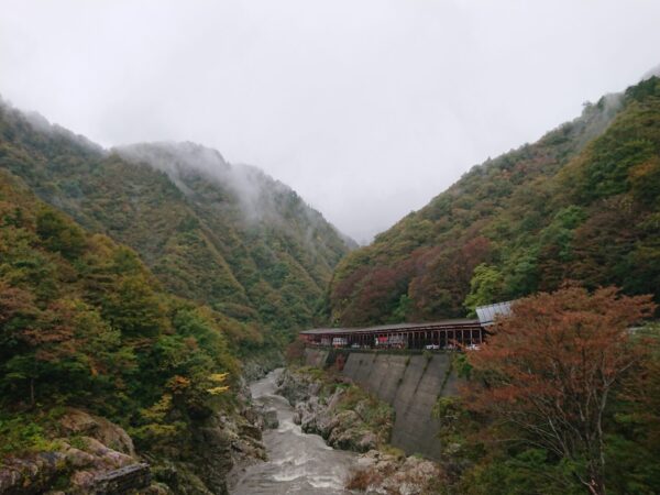 紅葉情報「赤芝峡」10/20