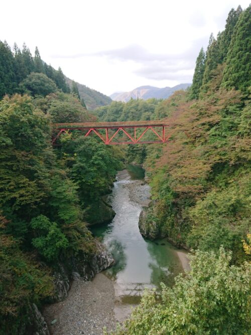 紅葉情報「新田橋」10/17