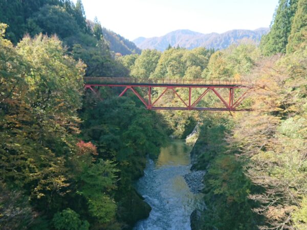 紅葉情報「玉川渓谷 新田橋」10/29
