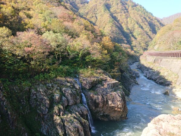 紅葉情報「赤芝峡・遊歩道」10/29