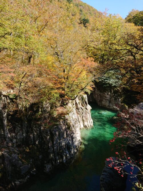 紅葉情報「天狗橋」10/29
